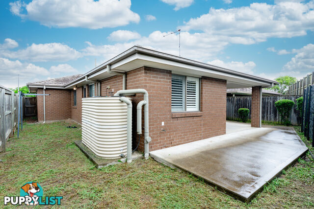 1 Grebe Street ABERGLASSLYN NSW 2320