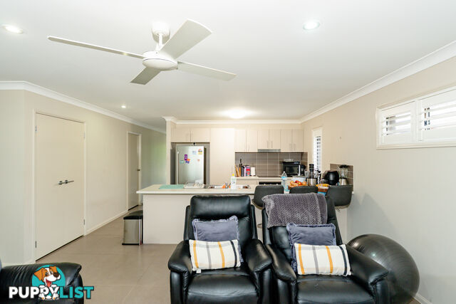 1 Grebe Street ABERGLASSLYN NSW 2320