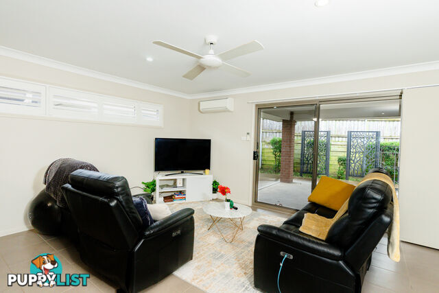 1 Grebe Street ABERGLASSLYN NSW 2320