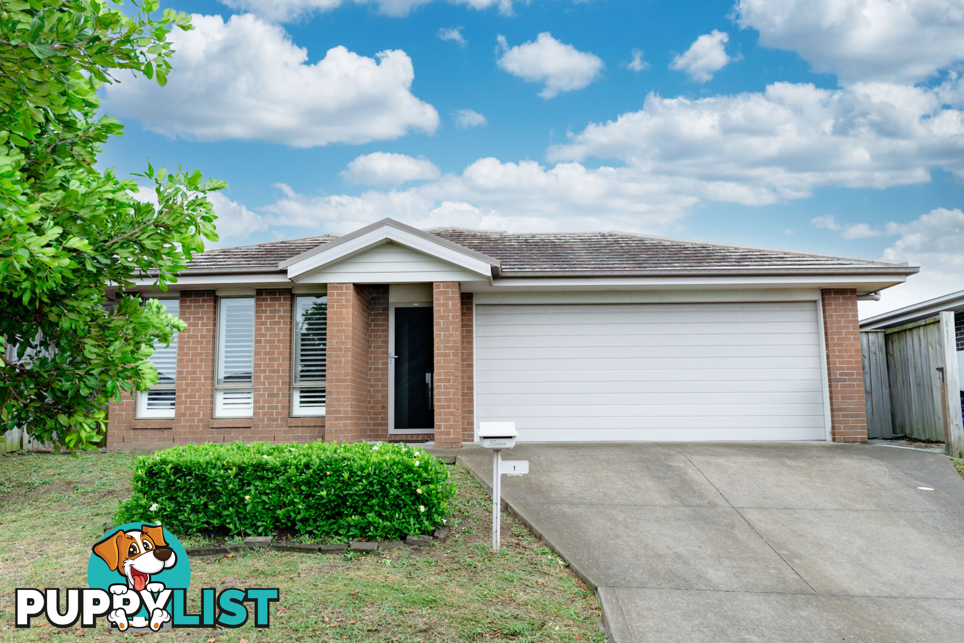 1 Grebe Street ABERGLASSLYN NSW 2320