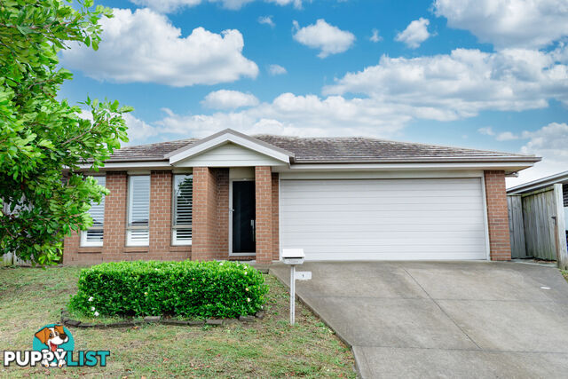 1 Grebe Street ABERGLASSLYN NSW 2320