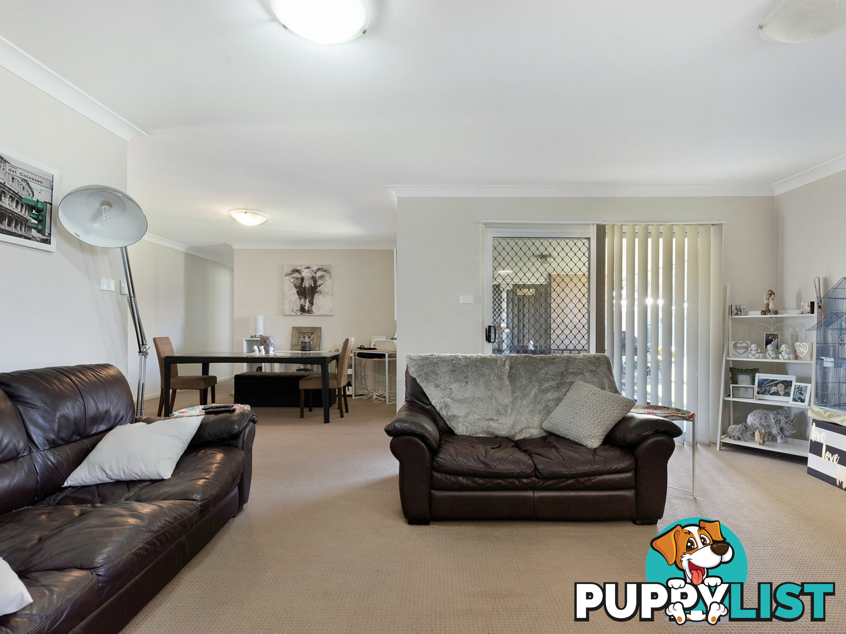 13 Shortland Drive RUTHERFORD NSW 2320