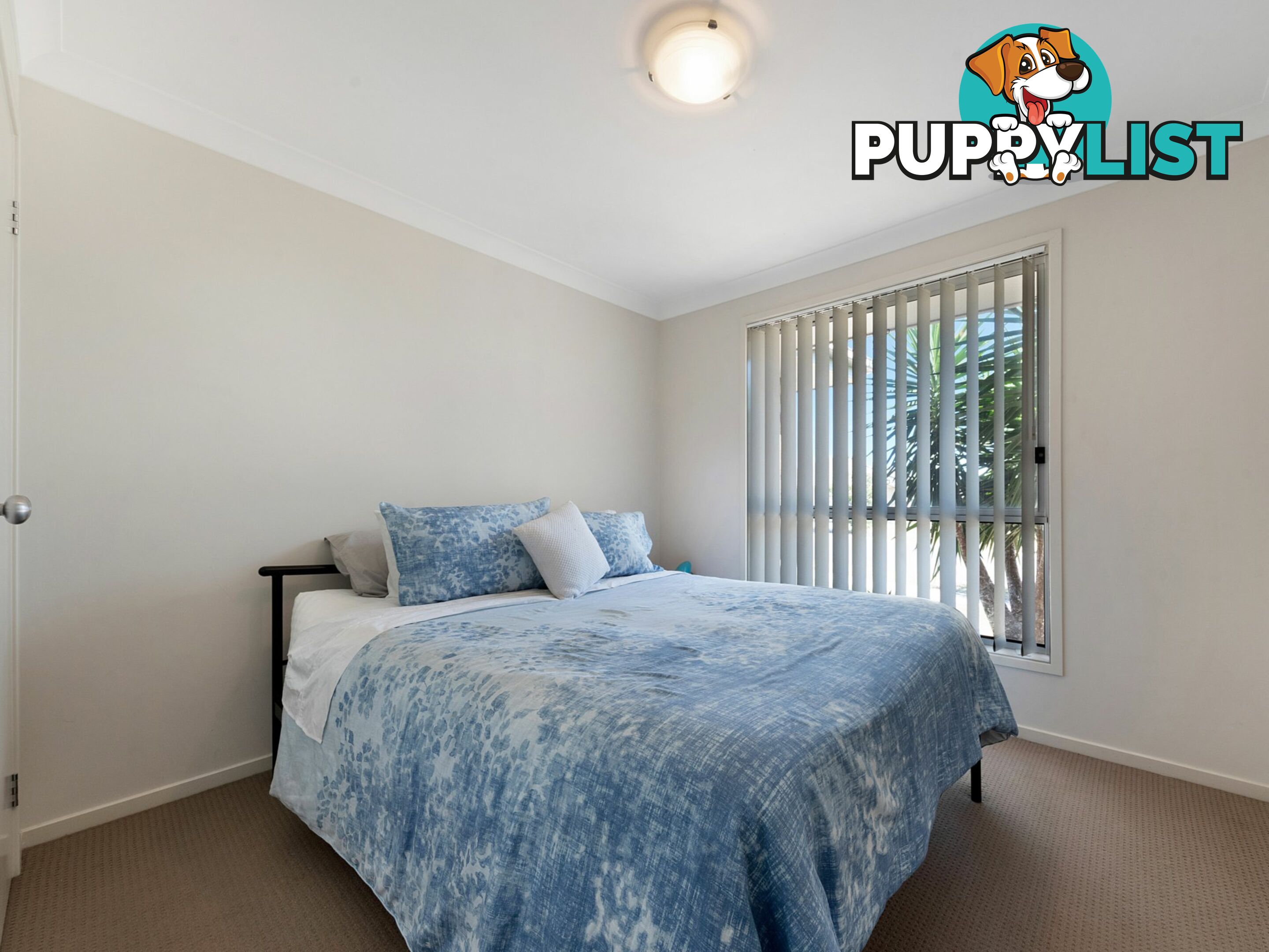 13 Shortland Drive RUTHERFORD NSW 2320