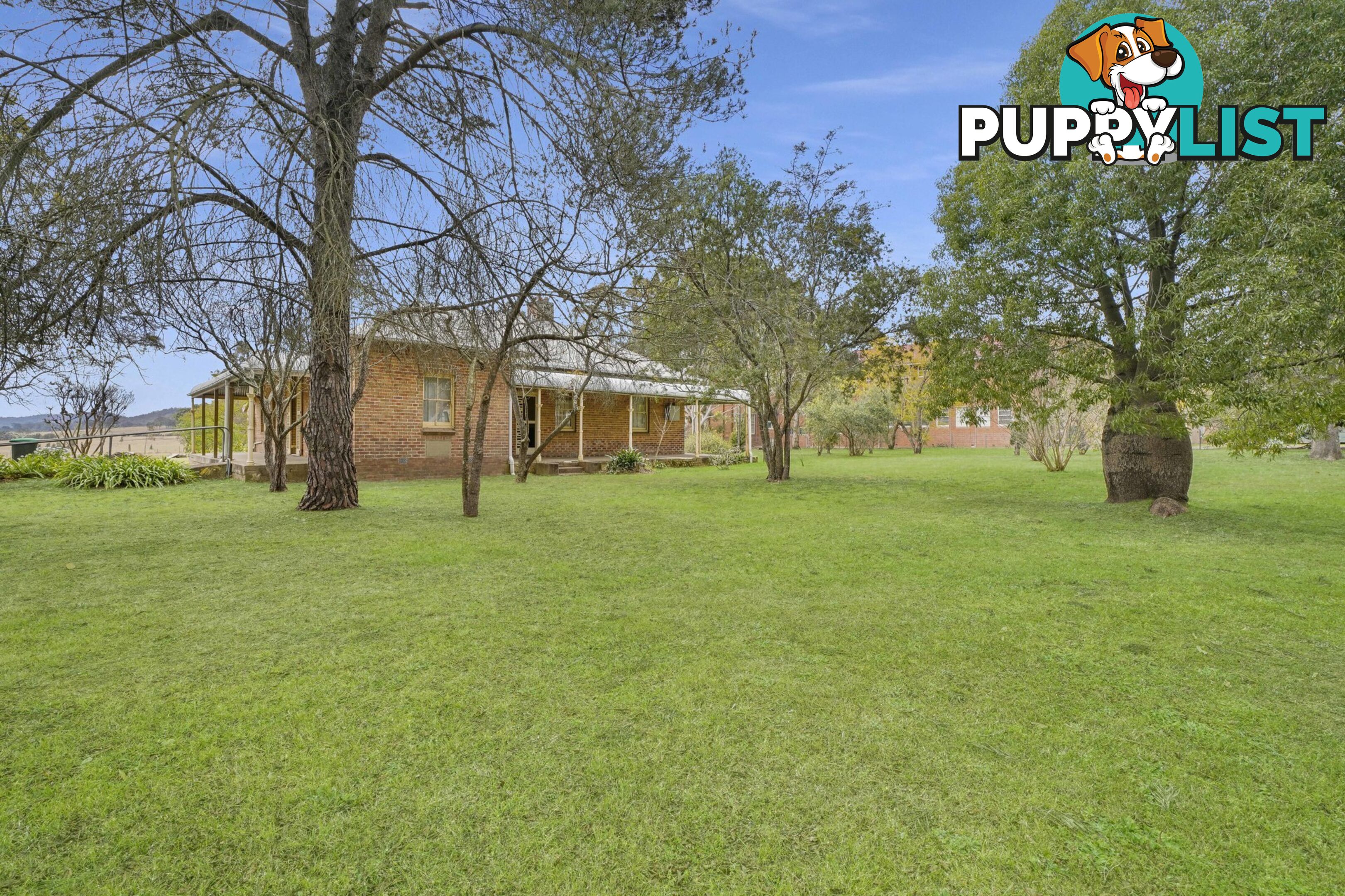 56 New England Highway LOCHINVAR NSW 2321