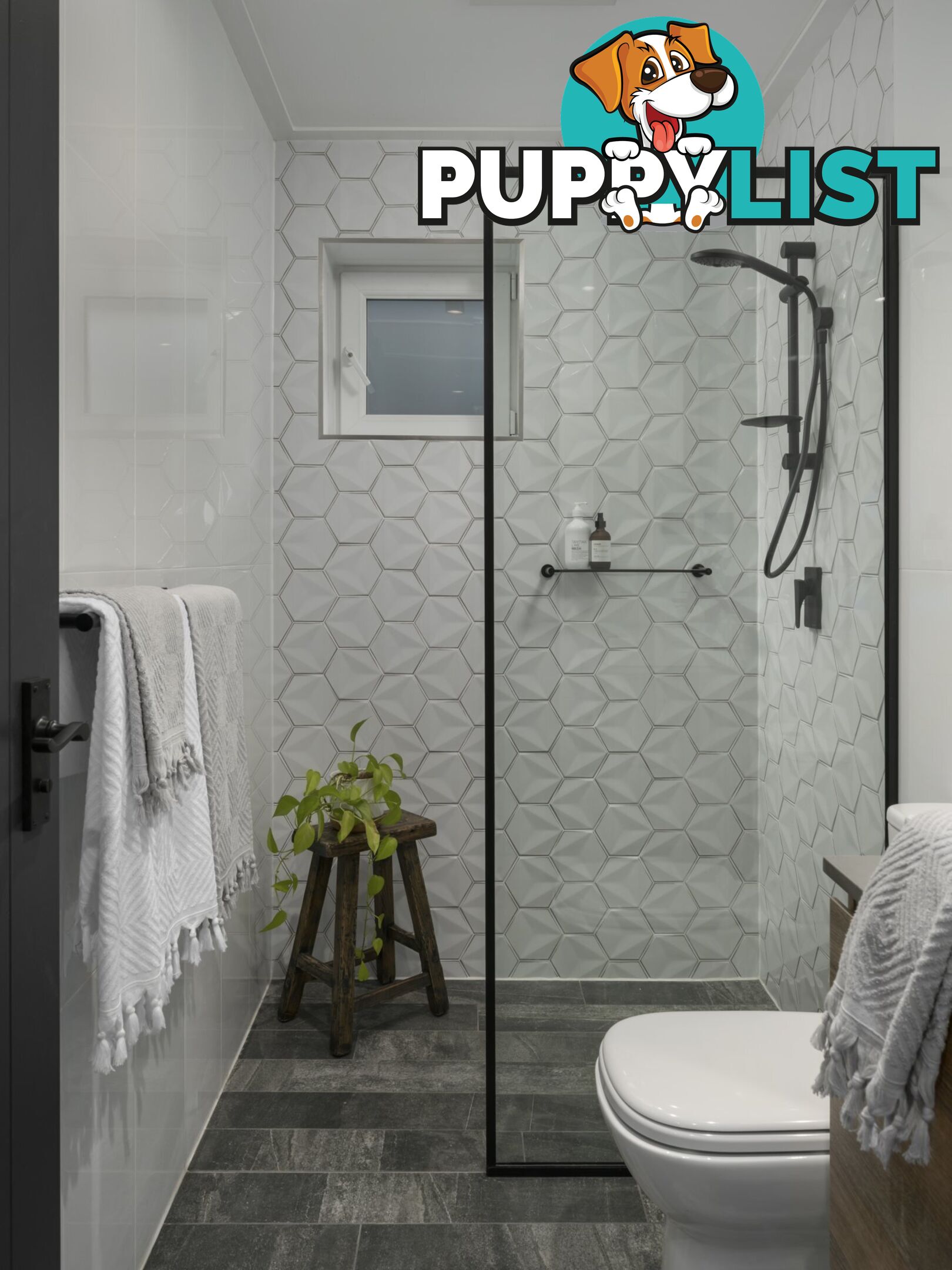 46A South Street TELARAH NSW 2320