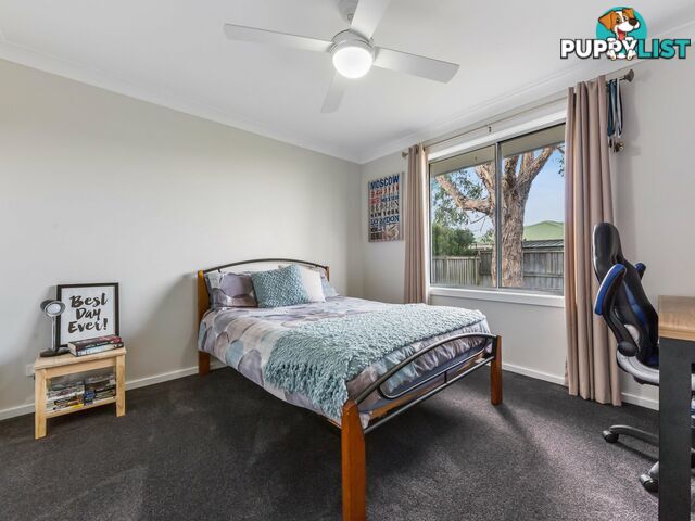 146 Wilton Drive EAST MAITLAND NSW 2323