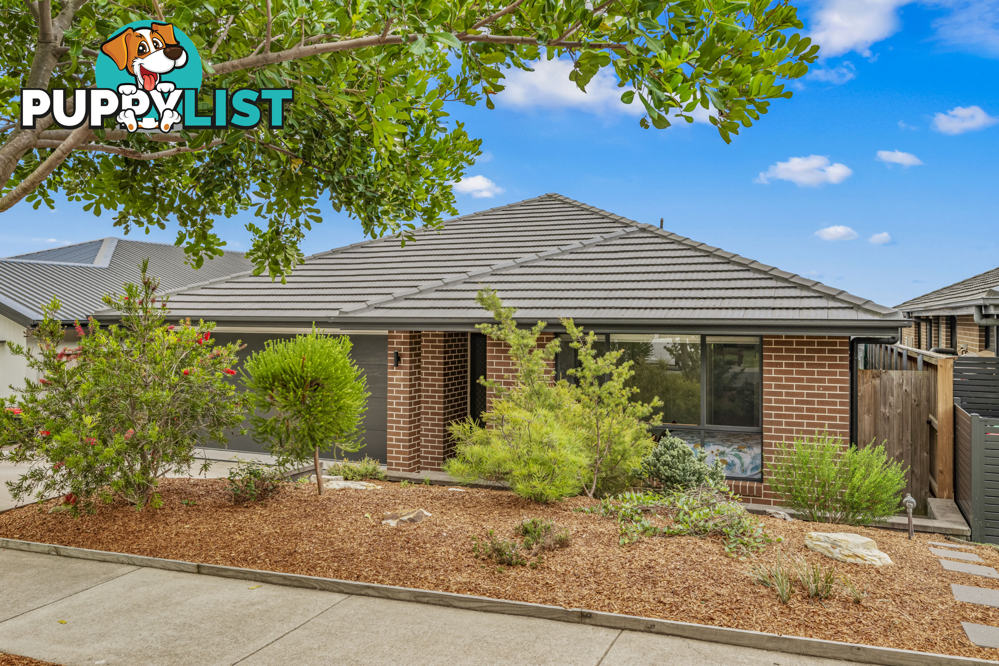 11 Thurston Street BOOLAROO NSW 2284
