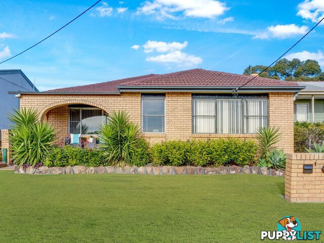 14 Ledsam Street TELARAH NSW 2320