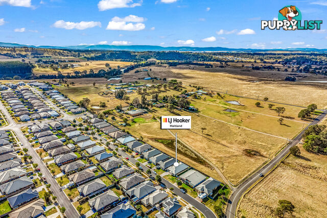 45 Dunnart Street ABERGLASSLYN NSW 2320