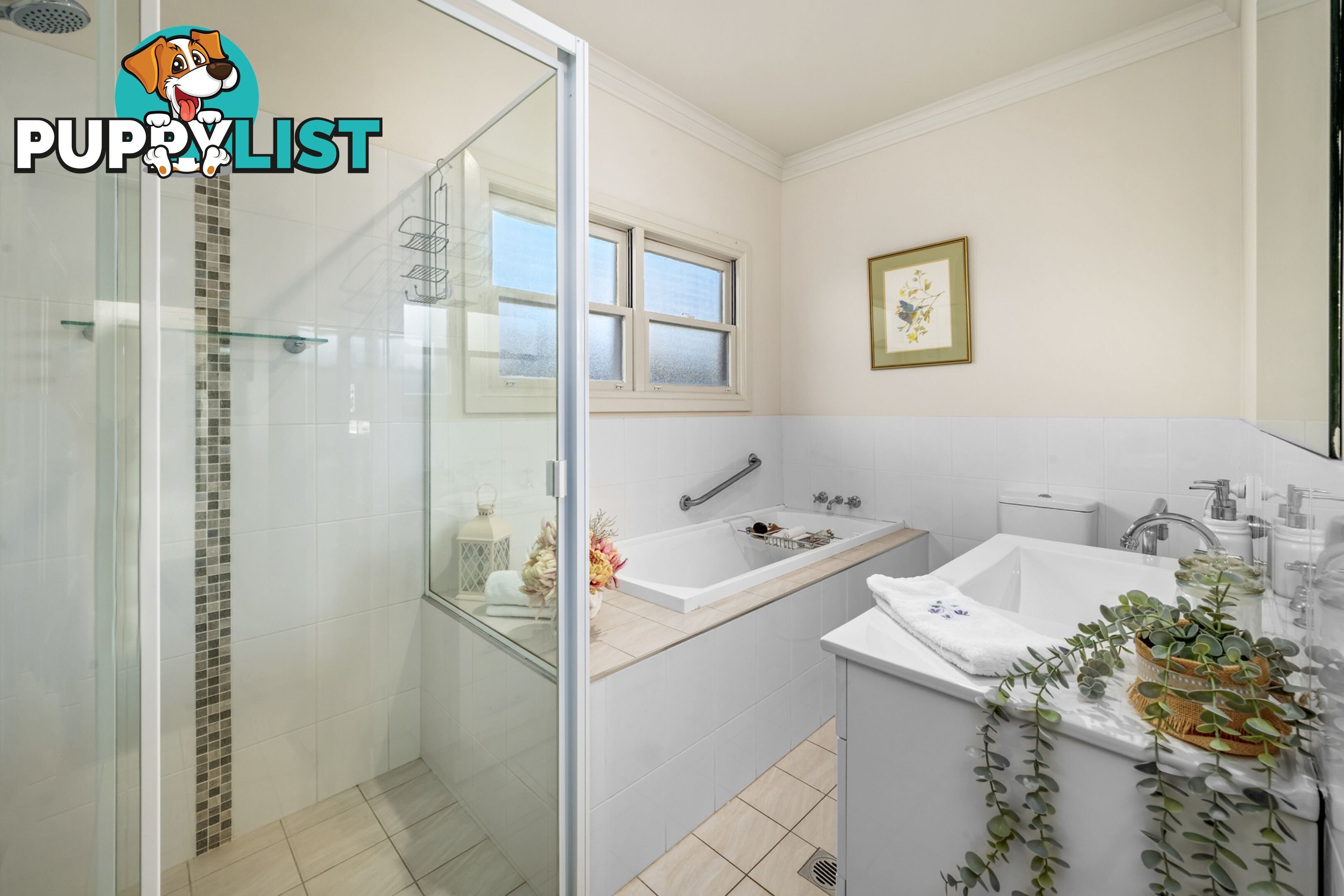 85 Belmore Road LORN NSW 2320