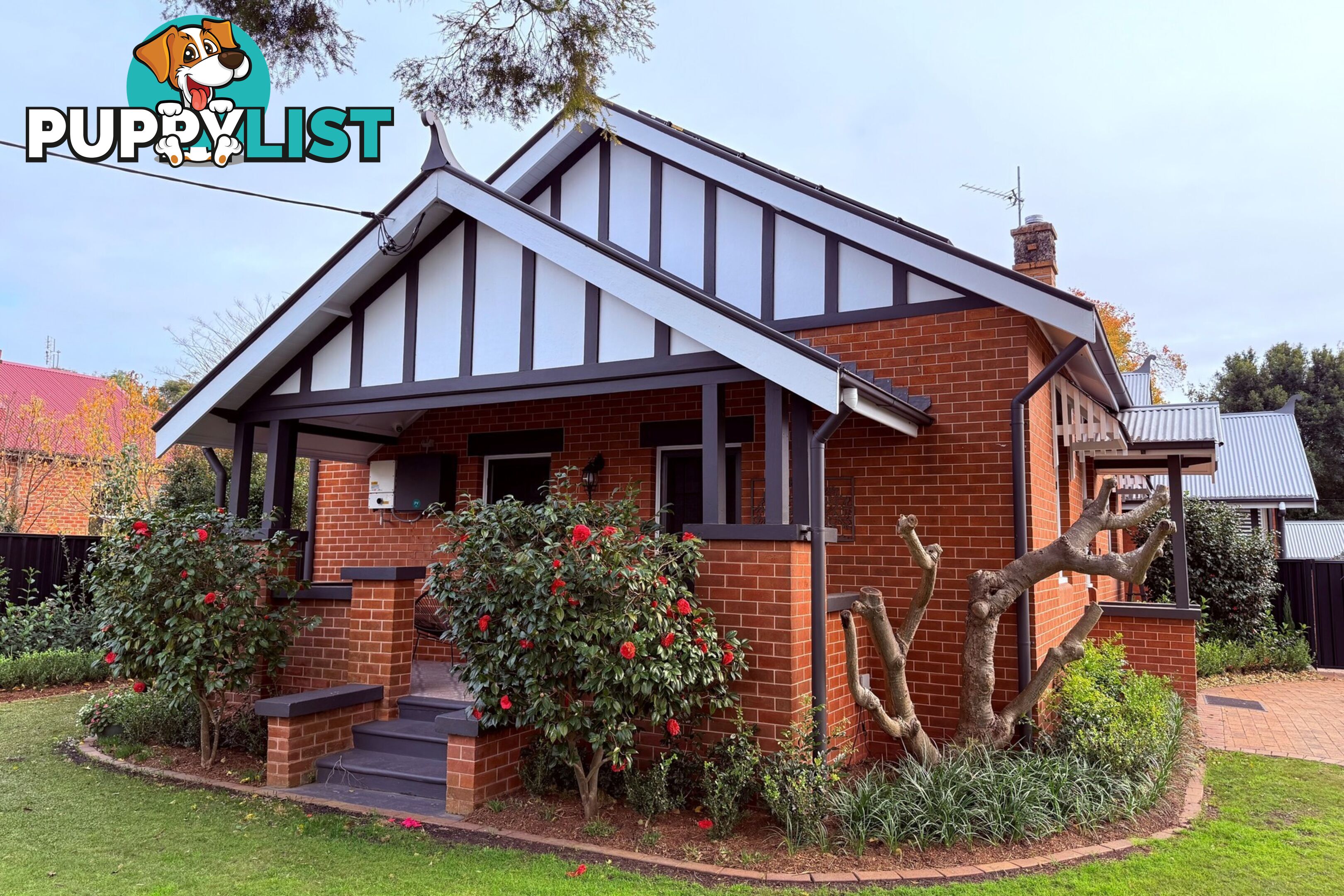 22 Nillo Street LORN NSW 2320