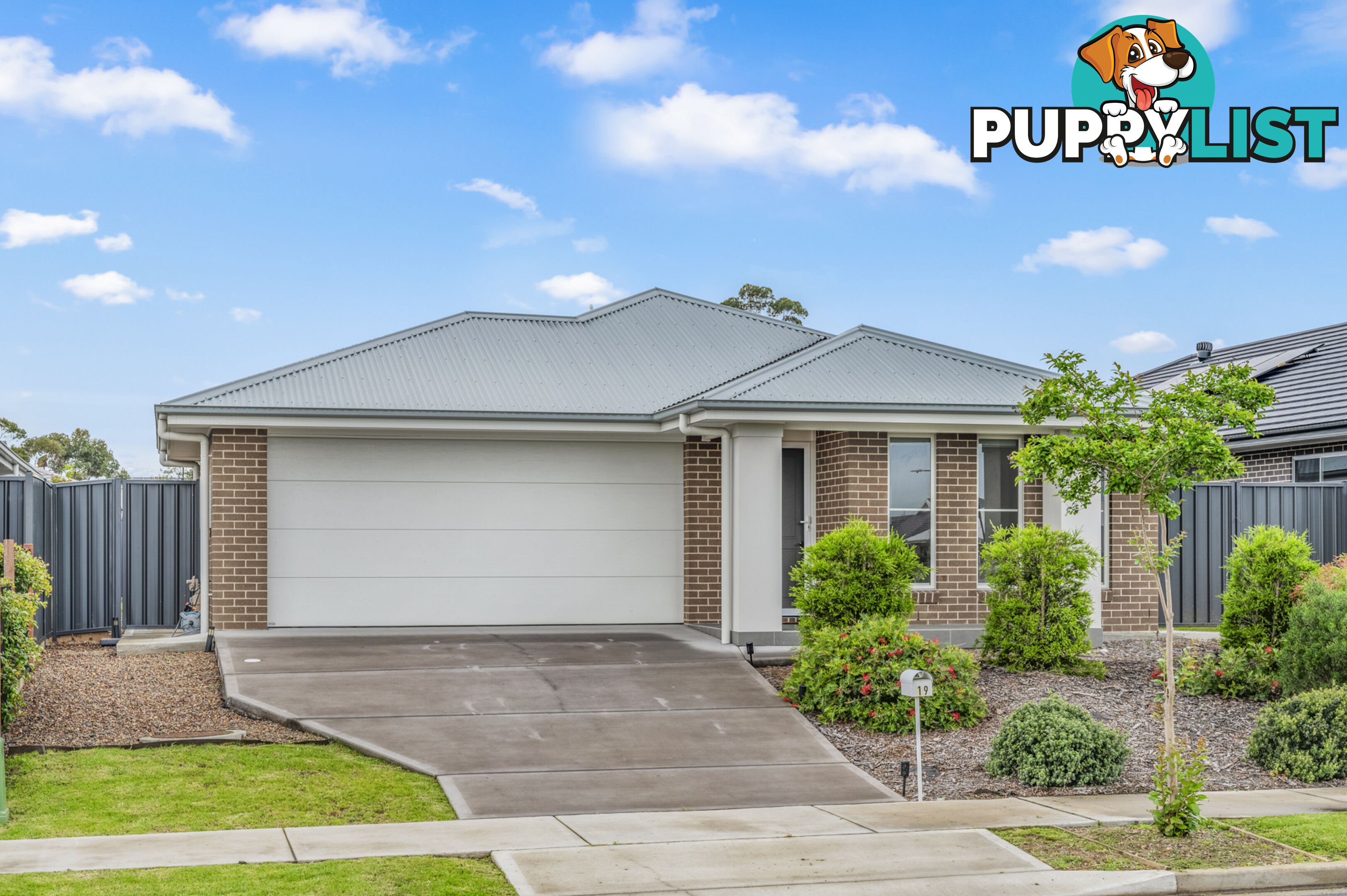 19 Springfield Drive LOCHINVAR NSW 2321