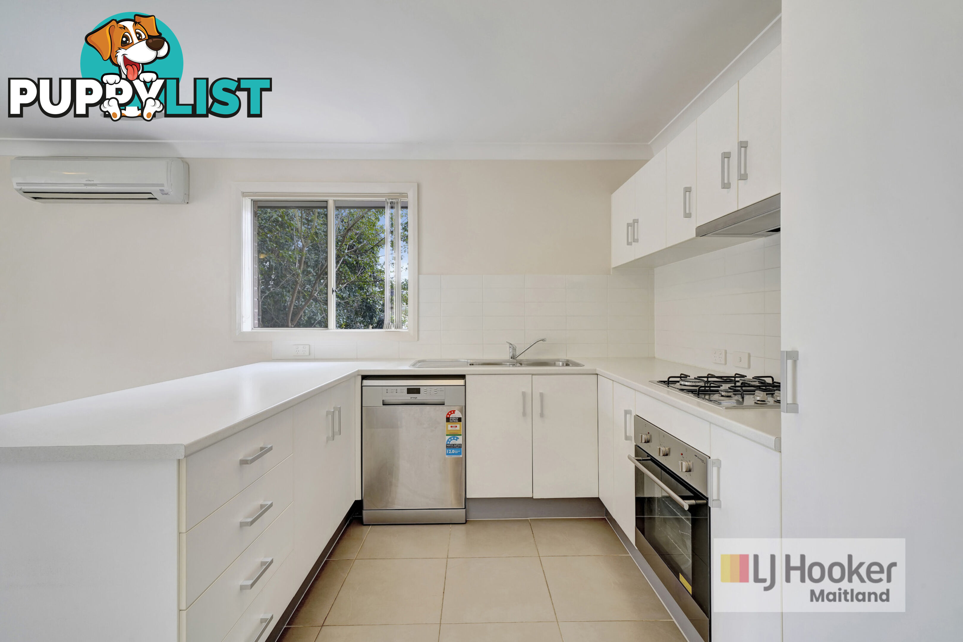 14 Reo Street LARGS NSW 2320