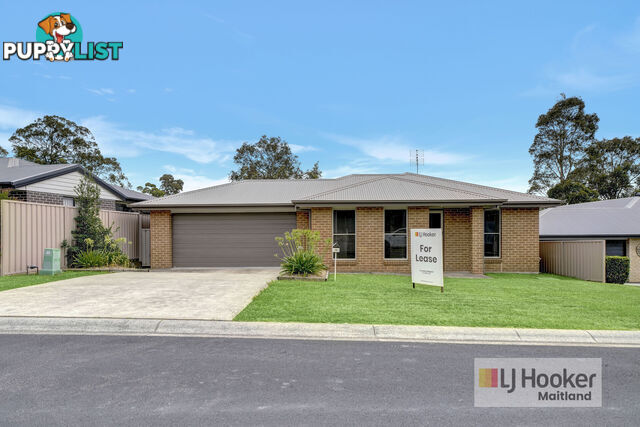 14 Reo Street LARGS NSW 2320