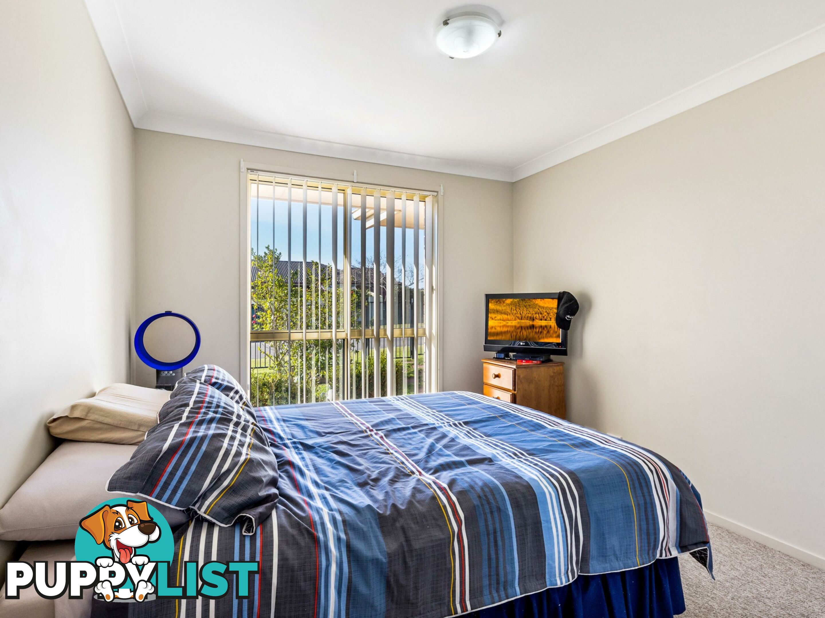 112 Avery Street RUTHERFORD NSW 2320