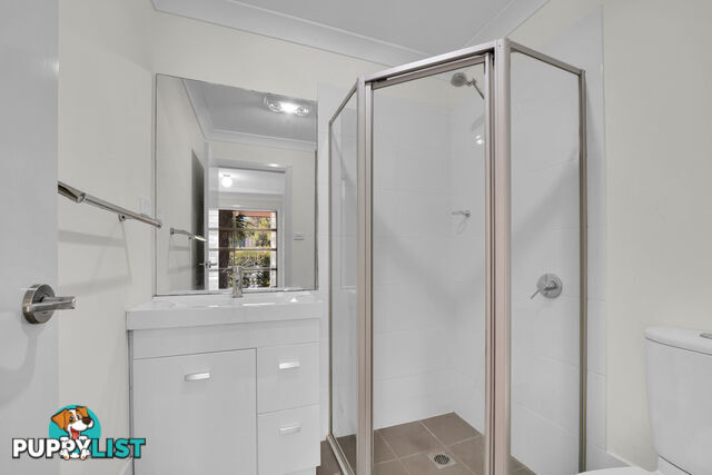 9 Teal Street ABERGLASSLYN NSW 2320
