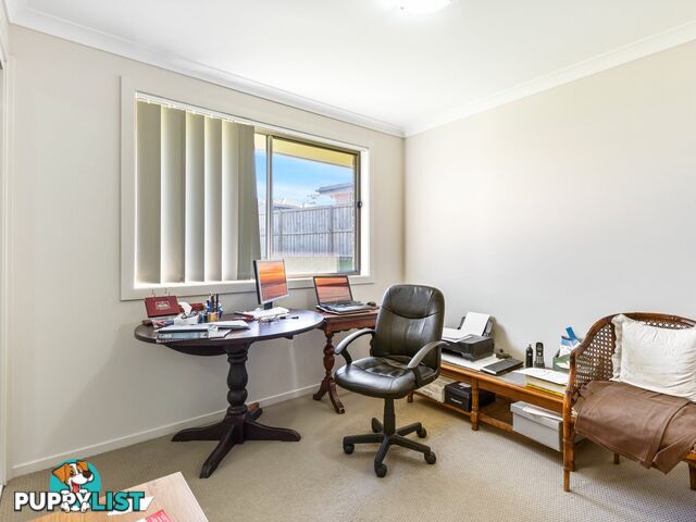 11 McKeachie Drive ABERGLASSLYN NSW 2320