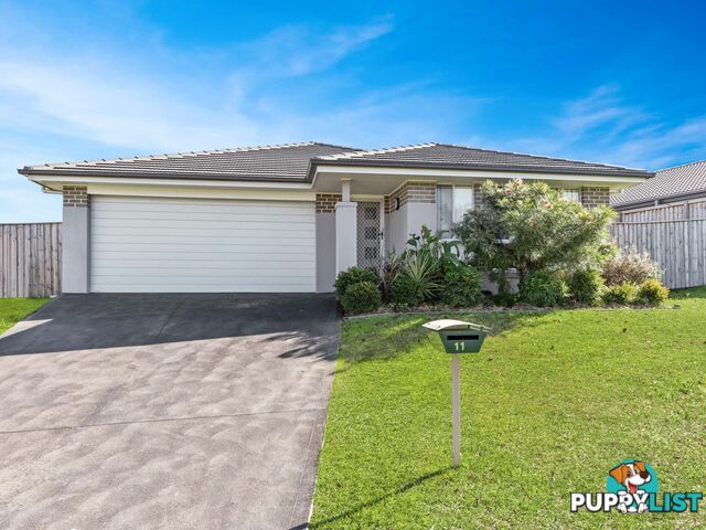 11 McKeachie Drive ABERGLASSLYN NSW 2320