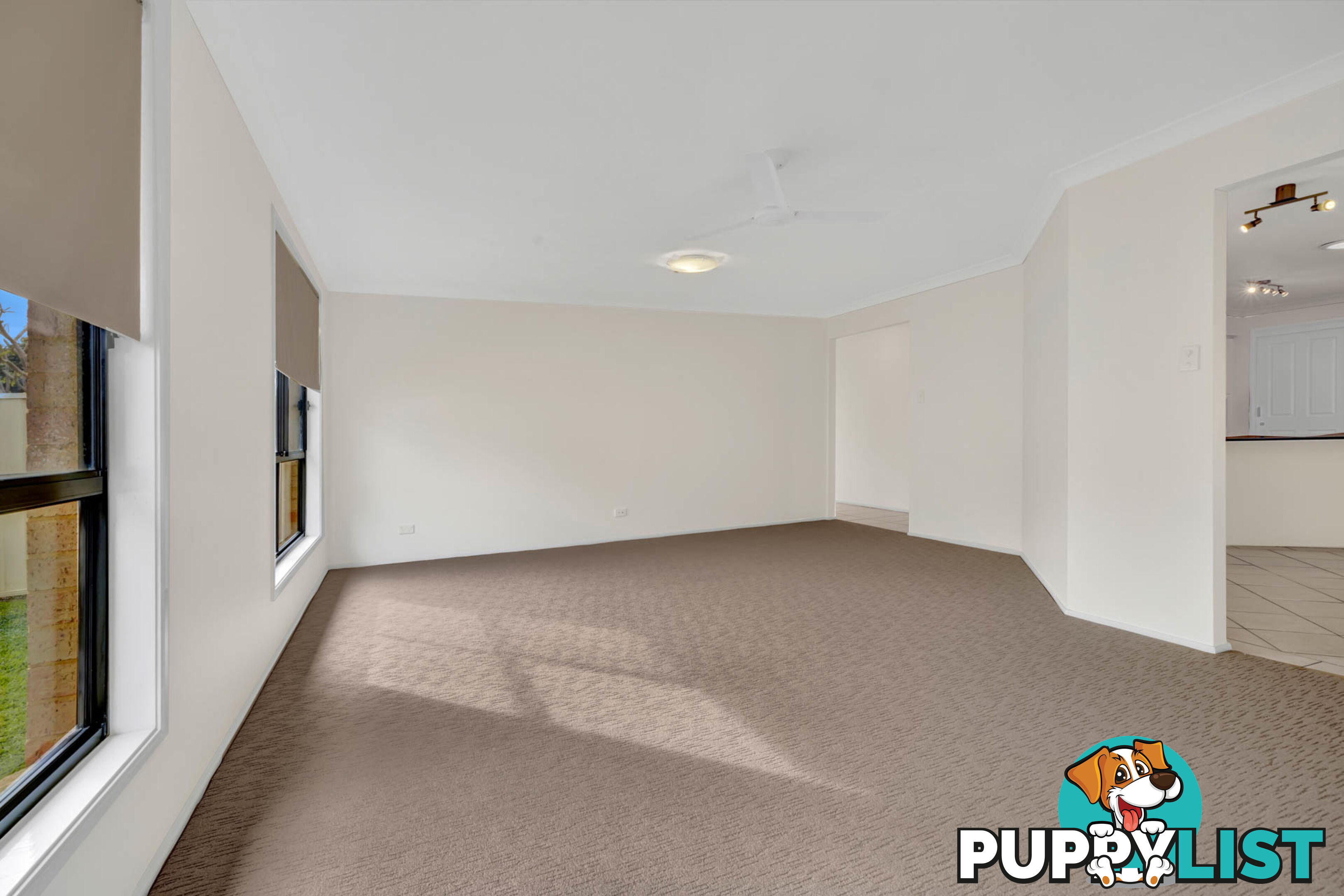 82 Worcester Drive EAST MAITLAND NSW 2323