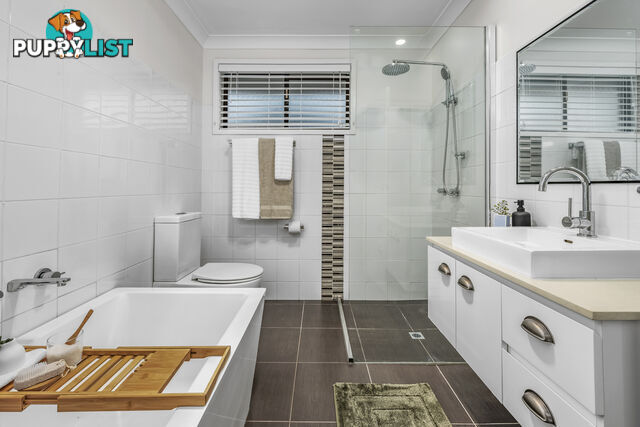 239 Paterson Road BOLWARRA HEIGHTS NSW 2320