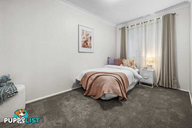 239 Paterson Road BOLWARRA HEIGHTS NSW 2320