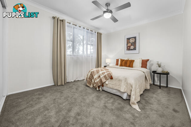 239 Paterson Road BOLWARRA HEIGHTS NSW 2320
