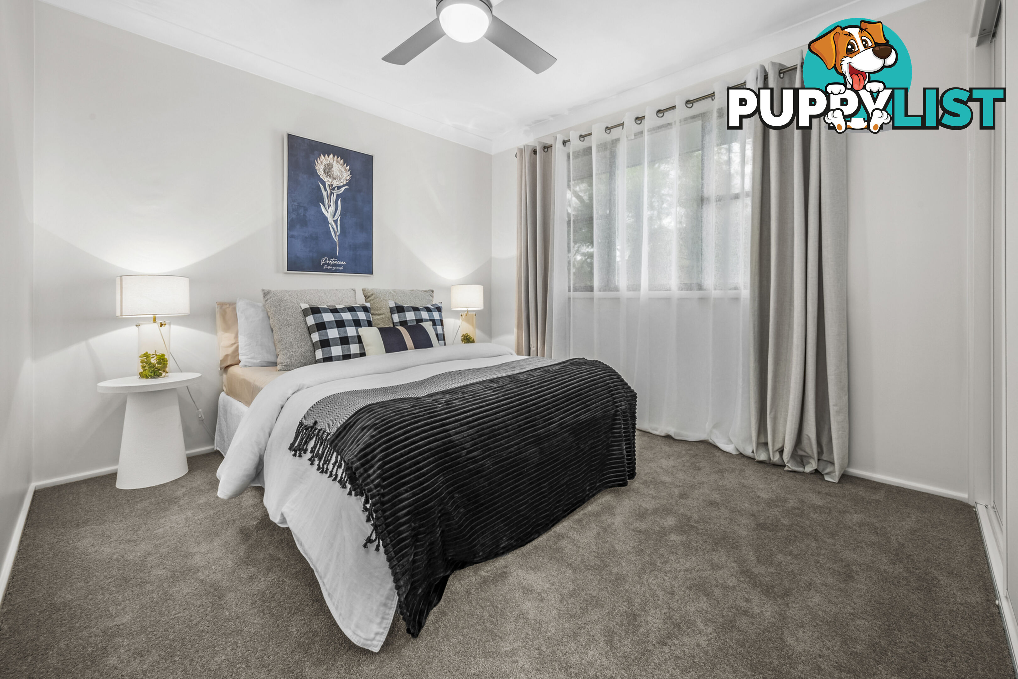 239 Paterson Road BOLWARRA HEIGHTS NSW 2320