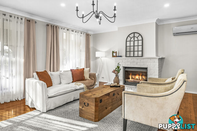 239 Paterson Road BOLWARRA HEIGHTS NSW 2320