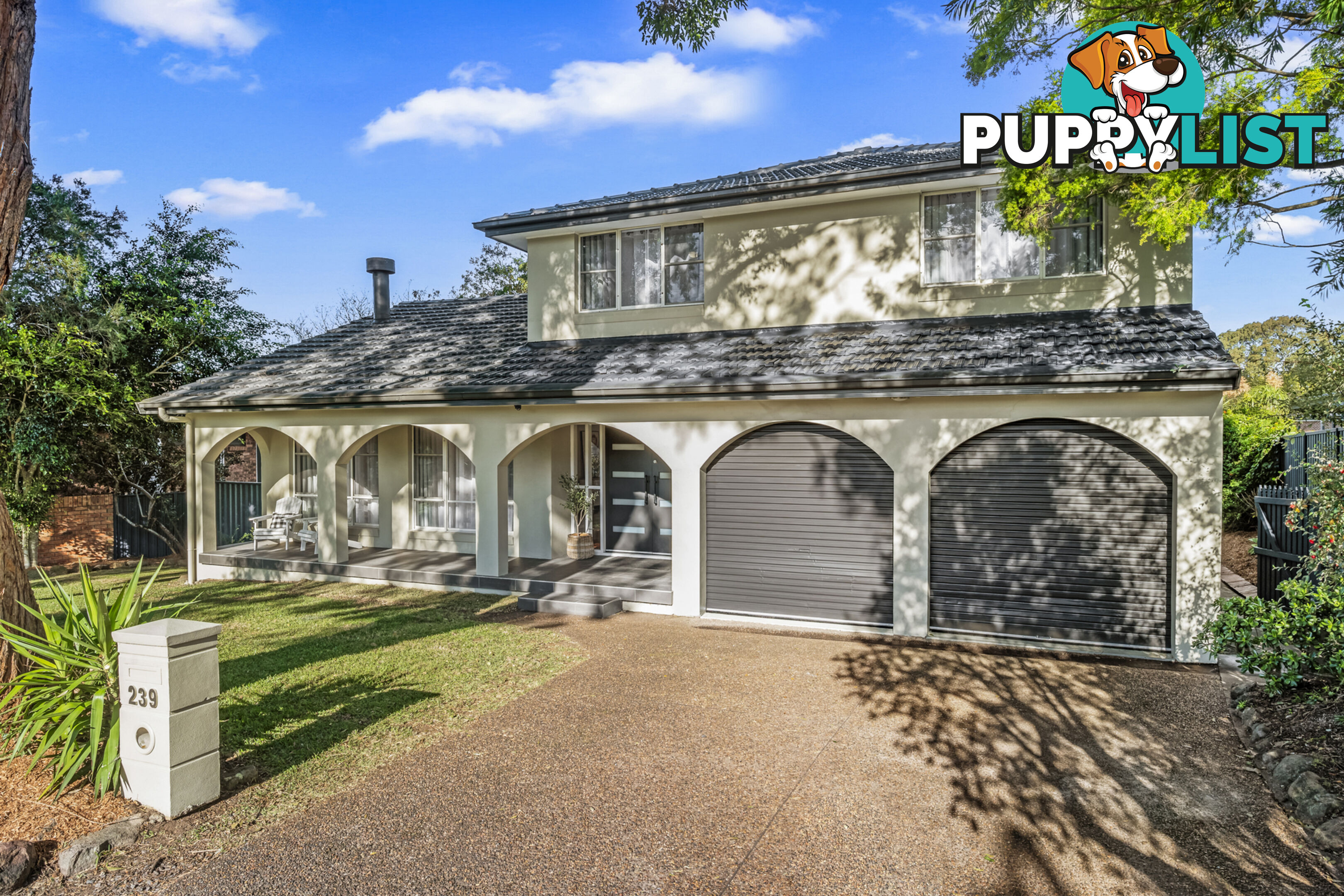239 Paterson Road BOLWARRA HEIGHTS NSW 2320
