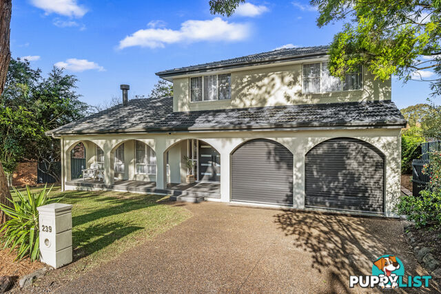 239 Paterson Road BOLWARRA HEIGHTS NSW 2320