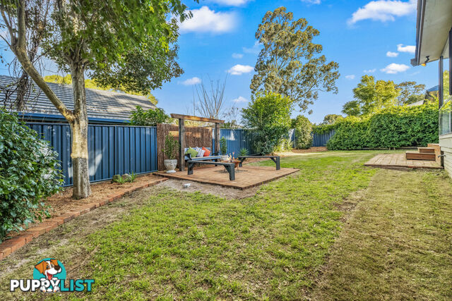 239 Paterson Road BOLWARRA HEIGHTS NSW 2320