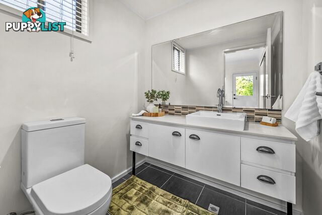 239 Paterson Road BOLWARRA HEIGHTS NSW 2320