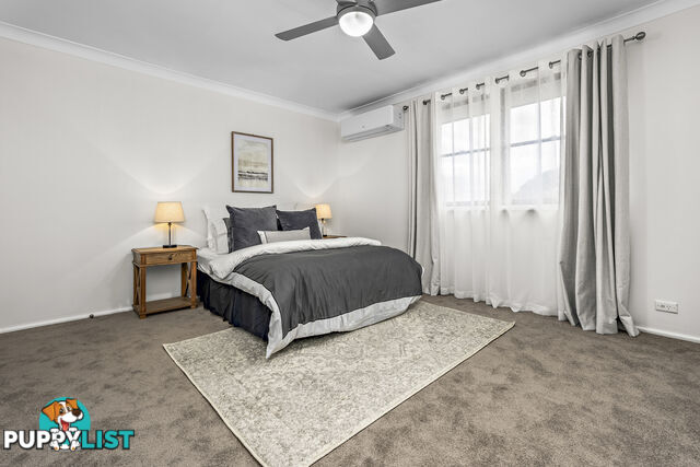 239 Paterson Road BOLWARRA HEIGHTS NSW 2320