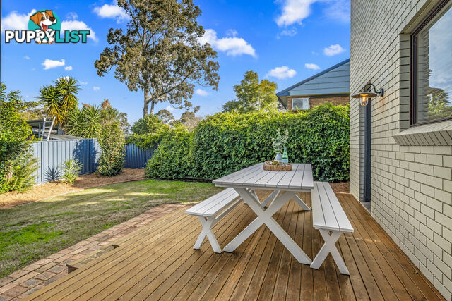 239 Paterson Road BOLWARRA HEIGHTS NSW 2320