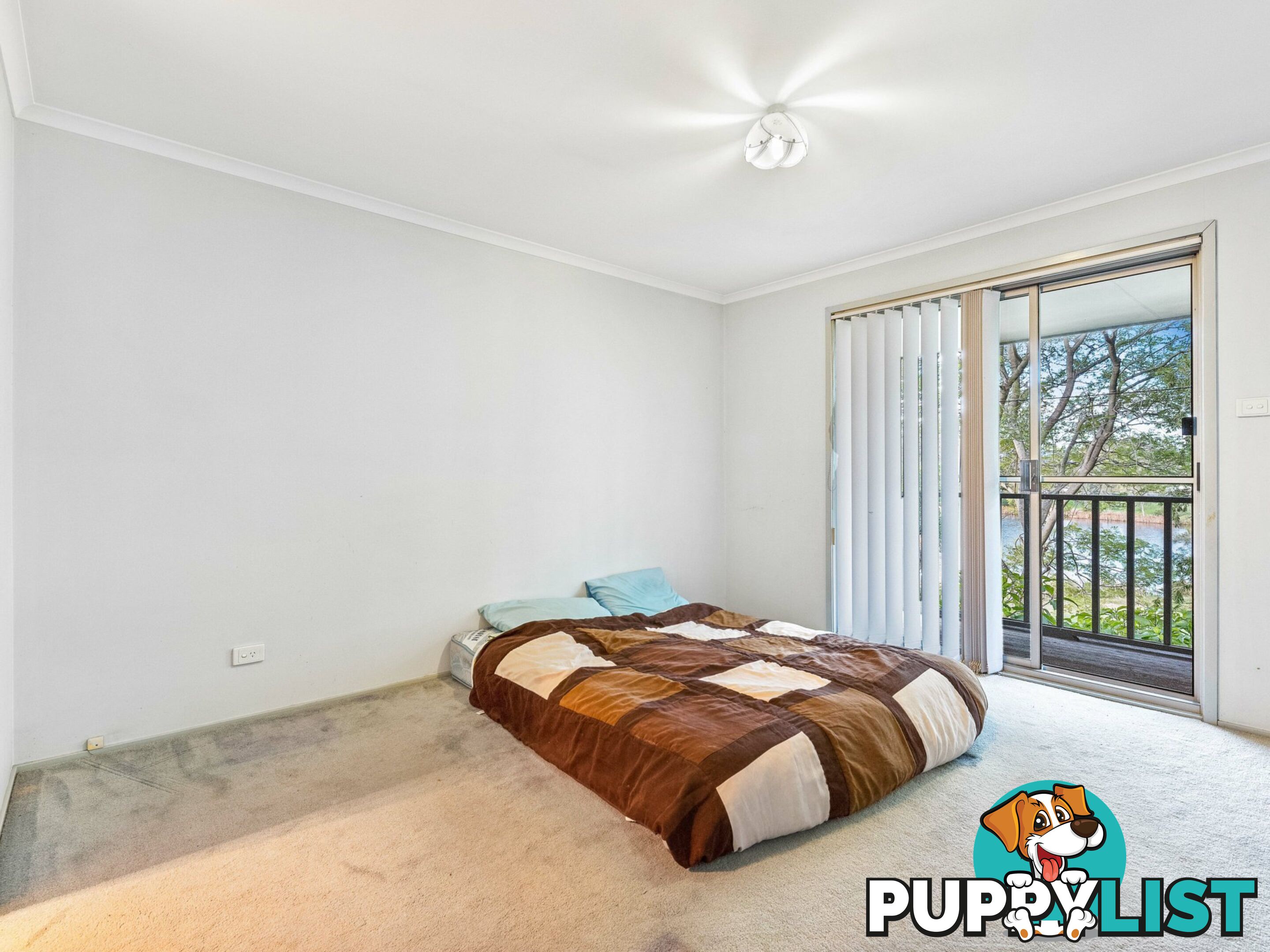 2 Telarah Street TELARAH NSW 2320