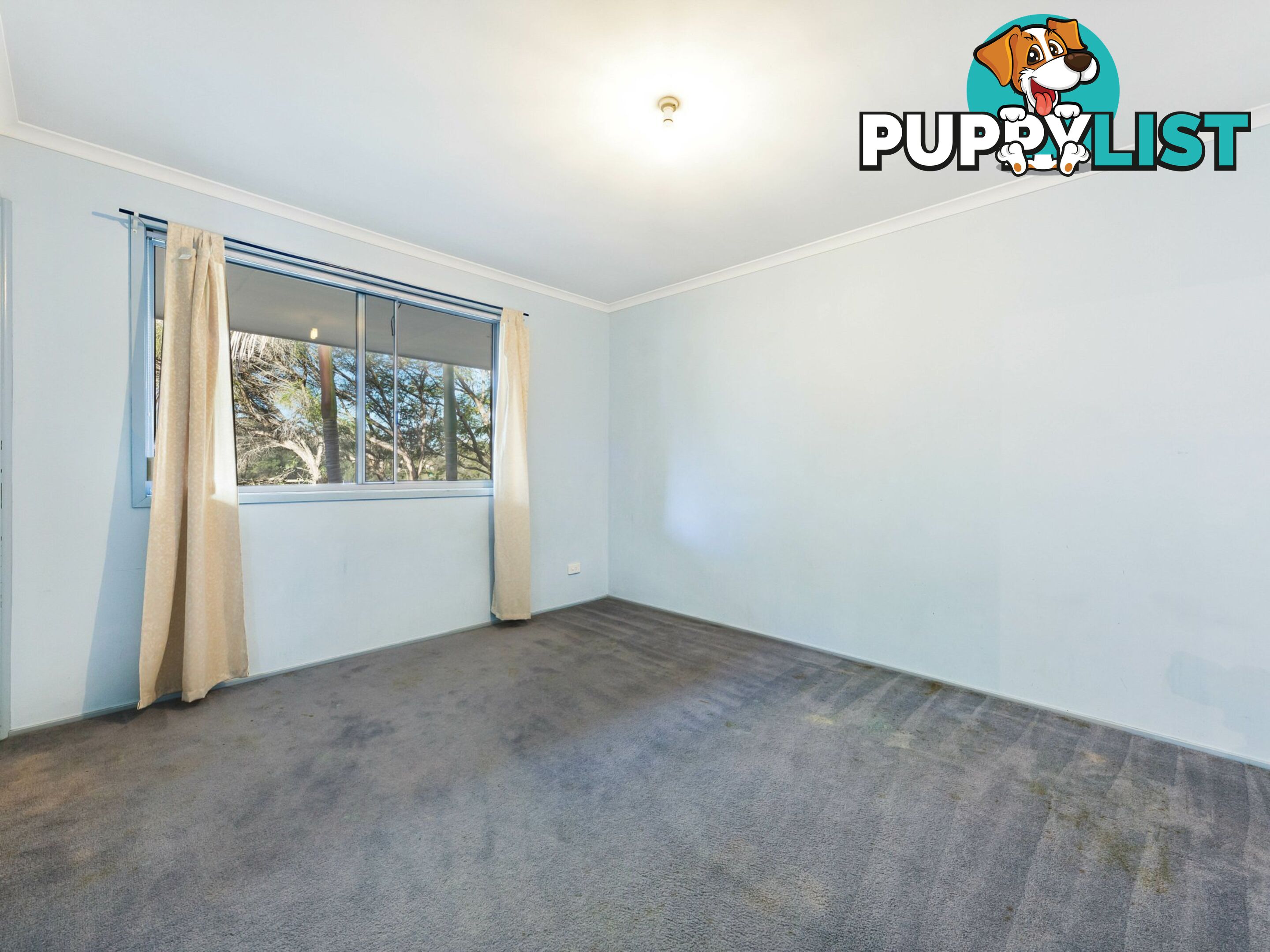 2 Telarah Street TELARAH NSW 2320