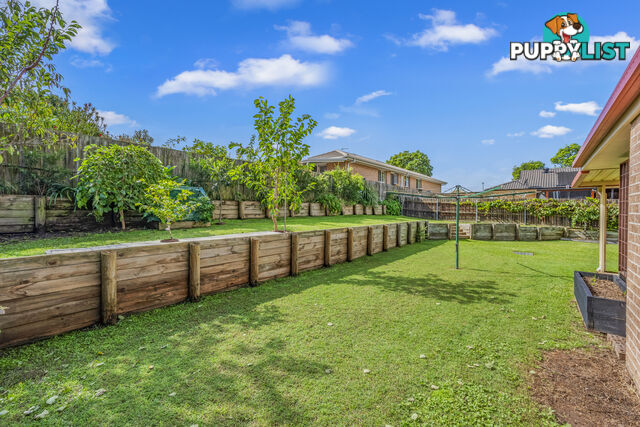 242 Denton Park Drive ABERGLASSLYN NSW 2320