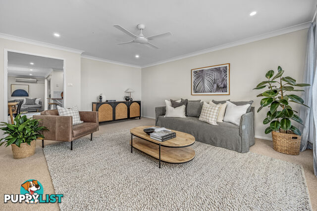 242 Denton Park Drive ABERGLASSLYN NSW 2320