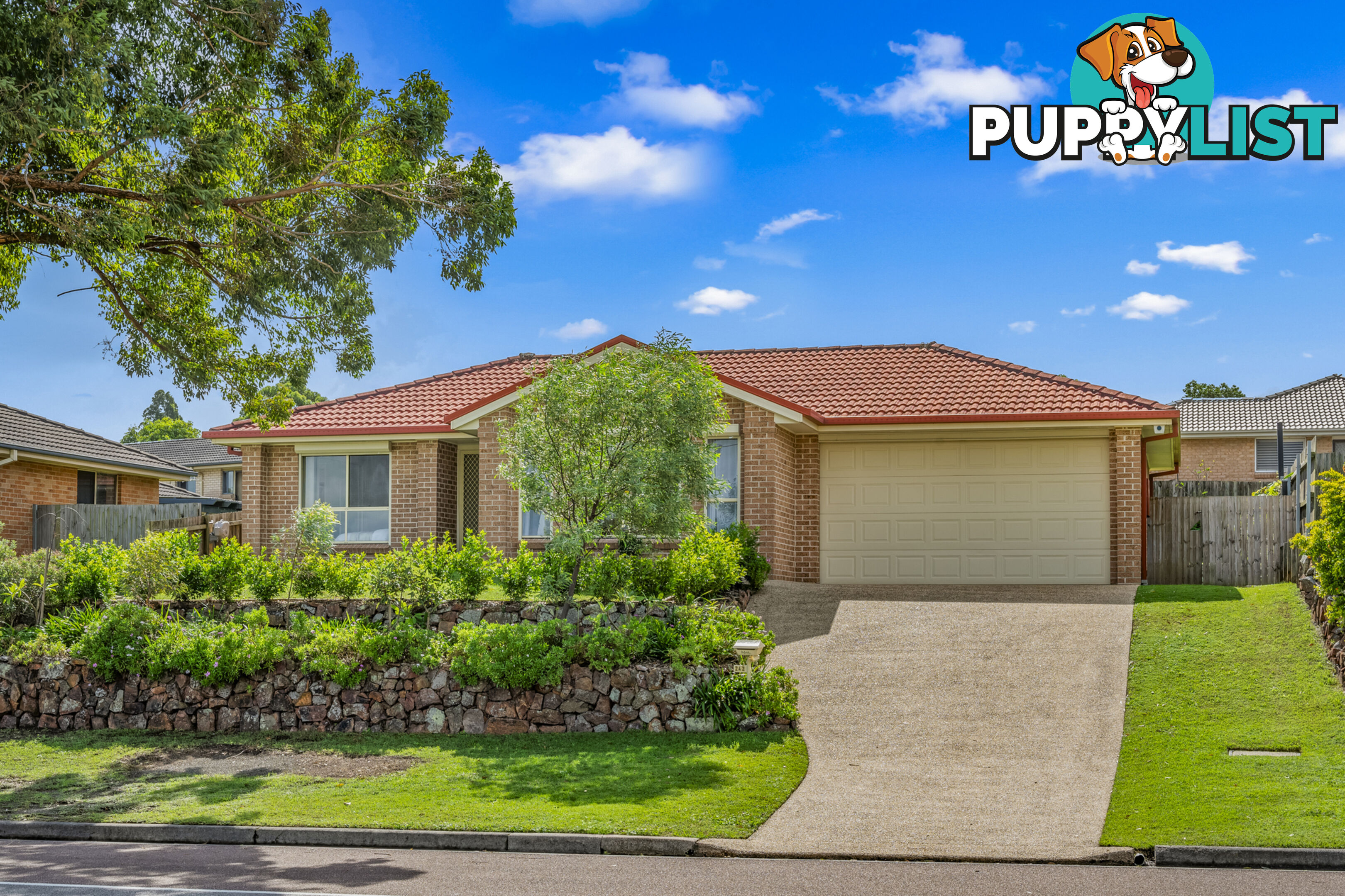 242 Denton Park Drive ABERGLASSLYN NSW 2320