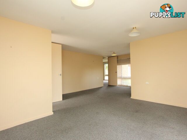 48 Park Street EAST MAITLAND NSW 2323