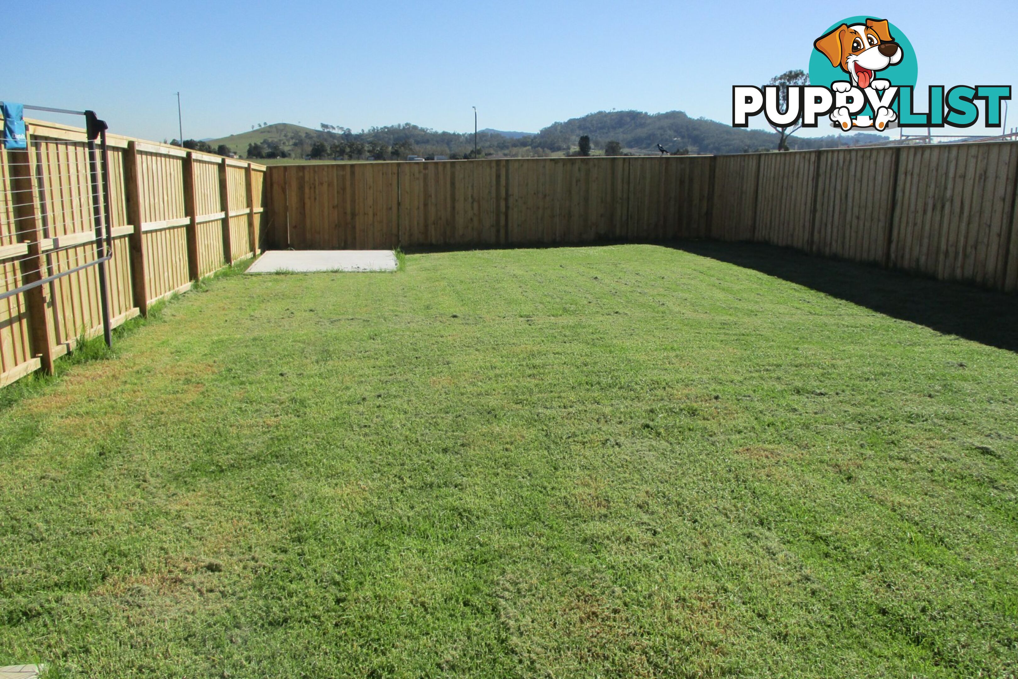58 Plover Circuit ABERGLASSLYN NSW 2320
