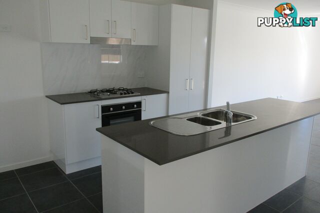 58 Plover Circuit ABERGLASSLYN NSW 2320
