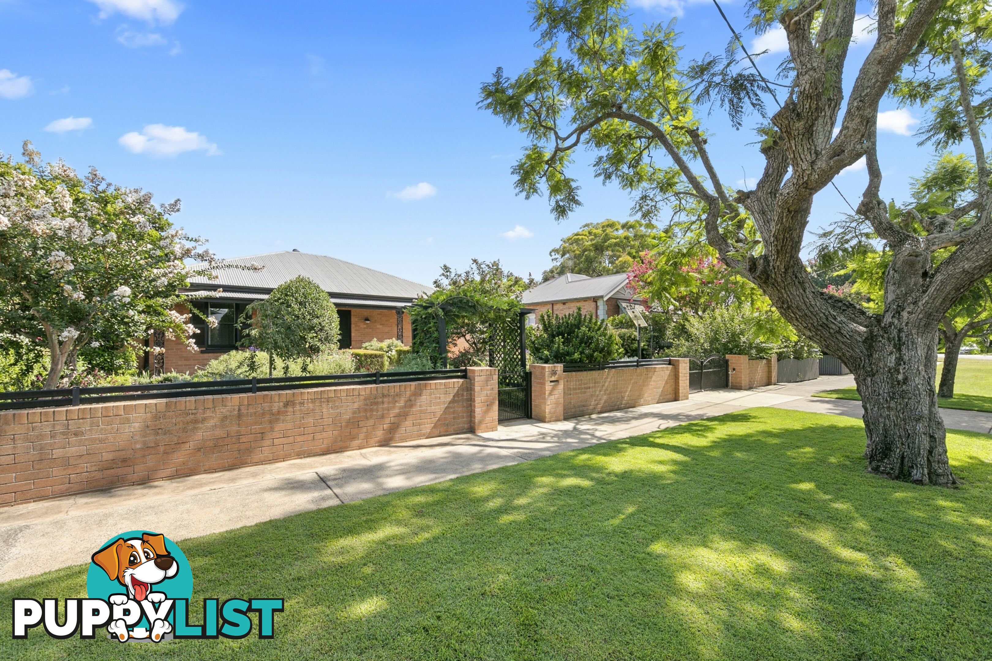 36 King Street LORN NSW 2320
