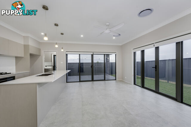 225 Robert Road LOCHINVAR NSW 2321