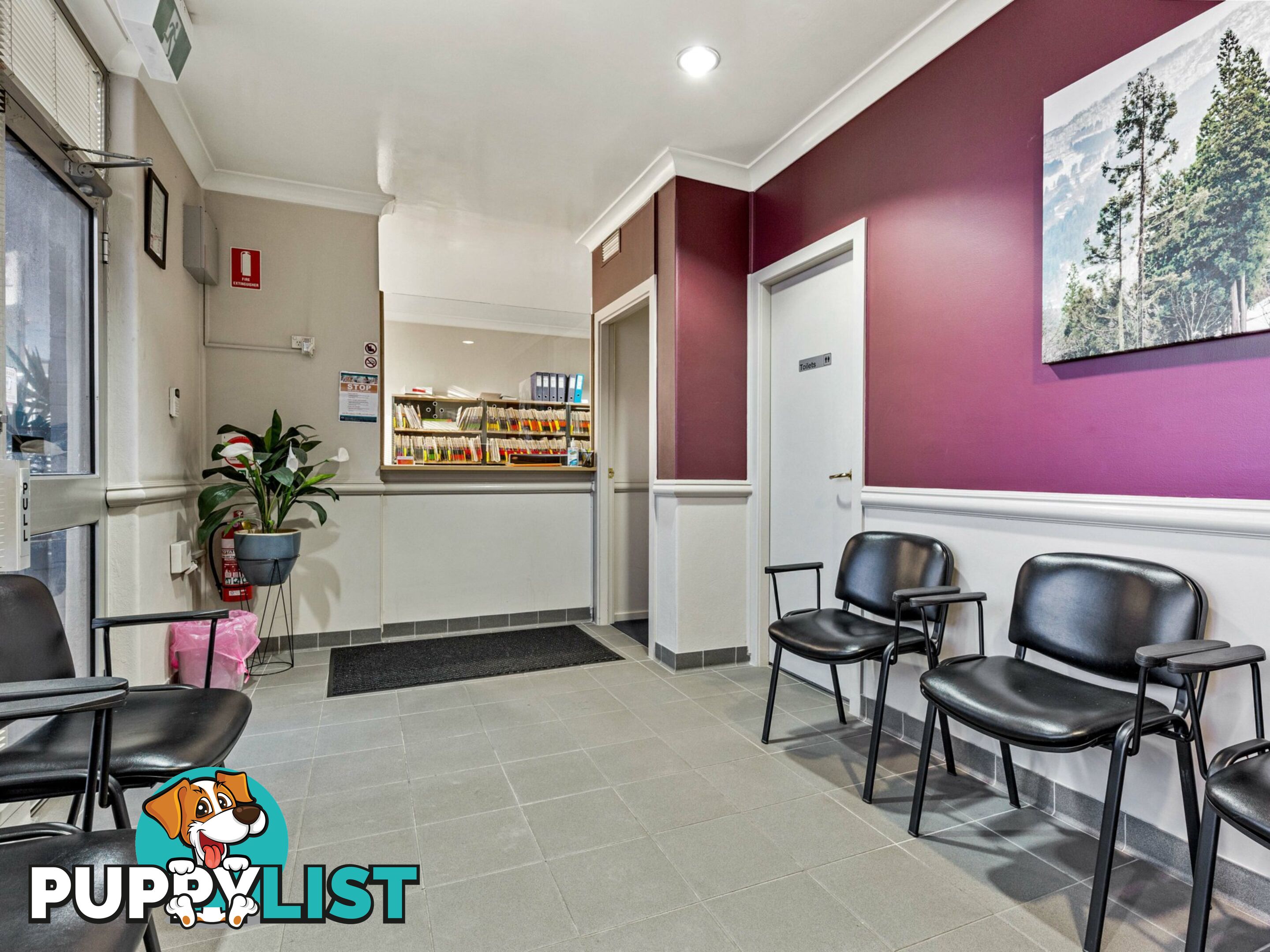 40 Elgin Street MAITLAND NSW 2320