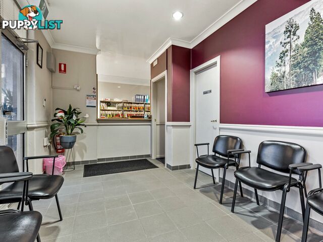 40 Elgin Street MAITLAND NSW 2320