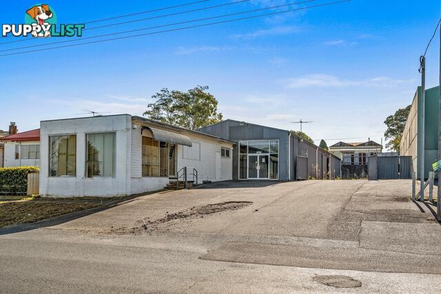 17 Johnson Street MAITLAND NSW 2320