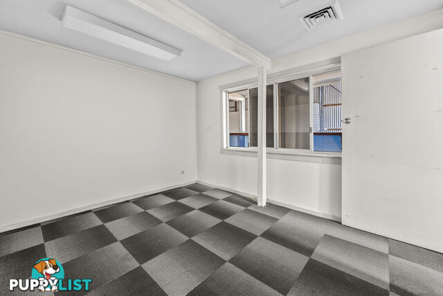 17 Johnson Street MAITLAND NSW 2320