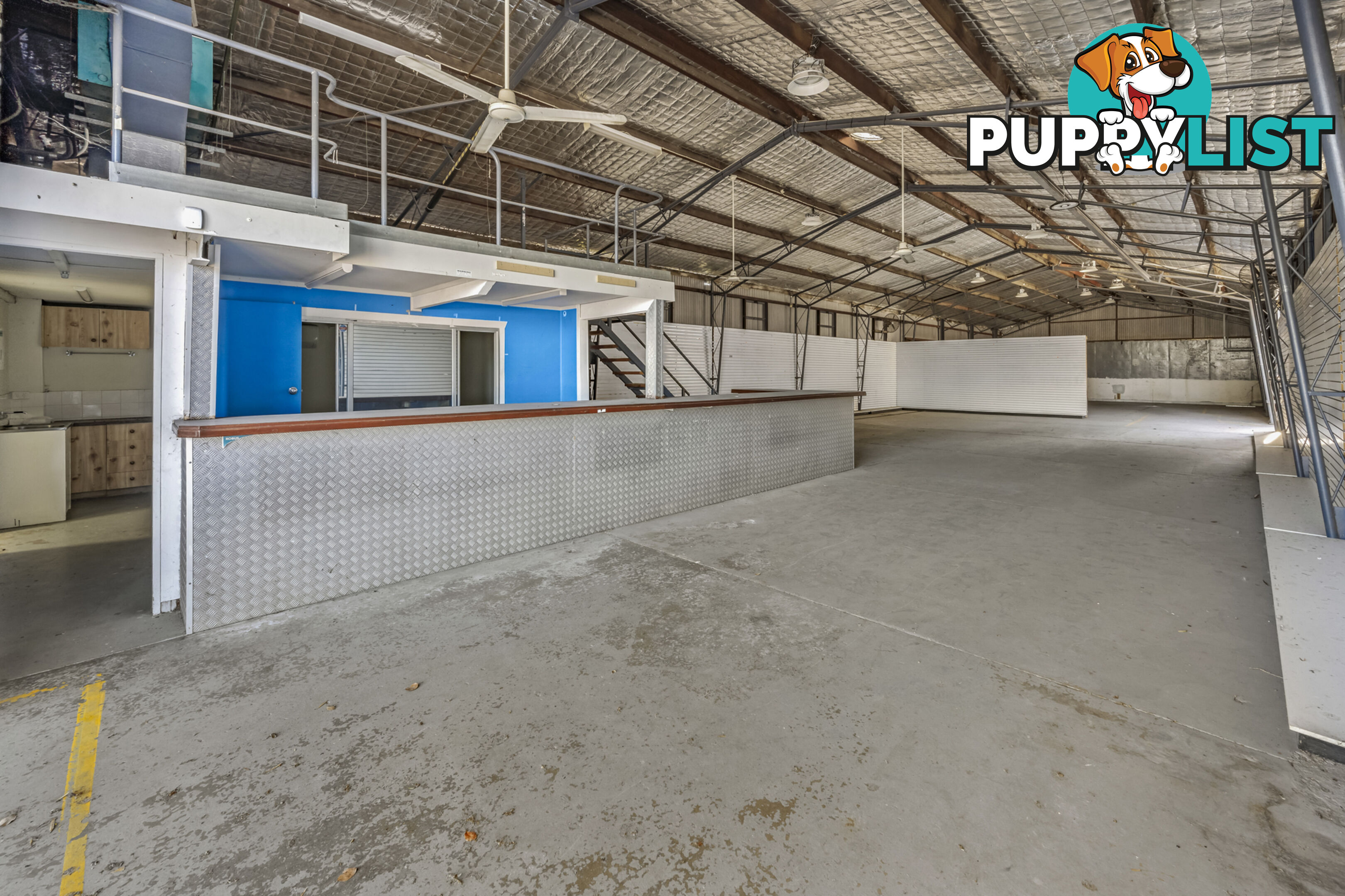 17 Johnson Street MAITLAND NSW 2320