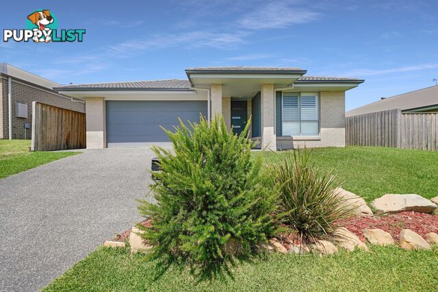 29 Golden Whistler Avenue ABERGLASSLYN NSW 2320